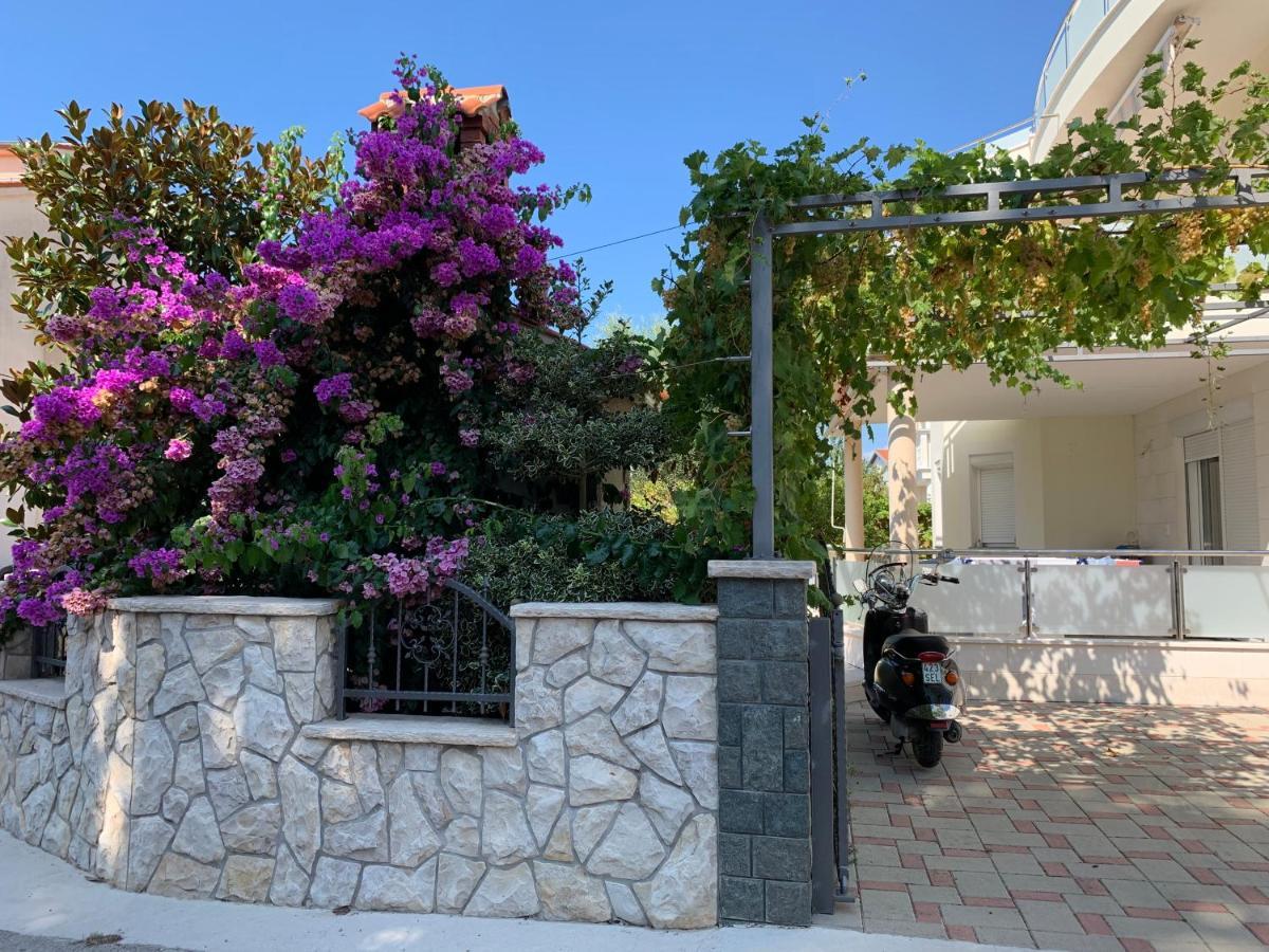 Apartments Dumancic 비오그라드나모루 외부 사진
